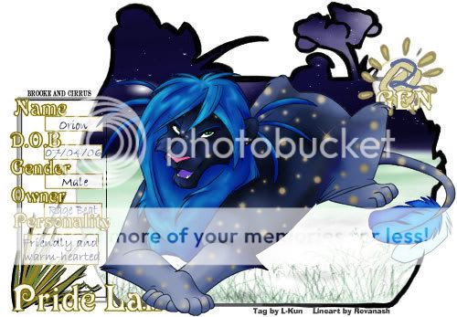 User Image